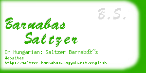 barnabas saltzer business card